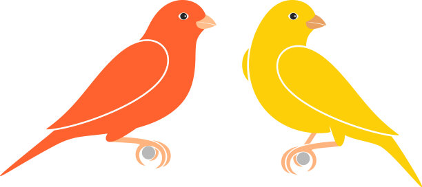 金丝雀图片下载