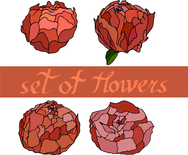 一套牡丹花图片下载