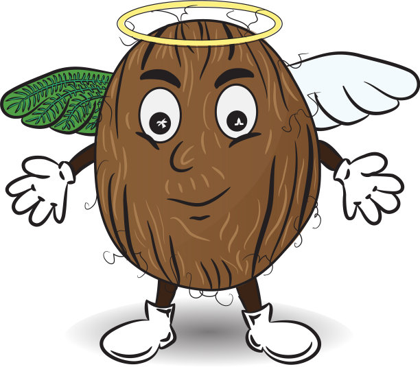 天使般的椰子图片下载