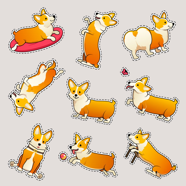 一组可爱的狗饲养威尔士柯基彭布罗克图片下载