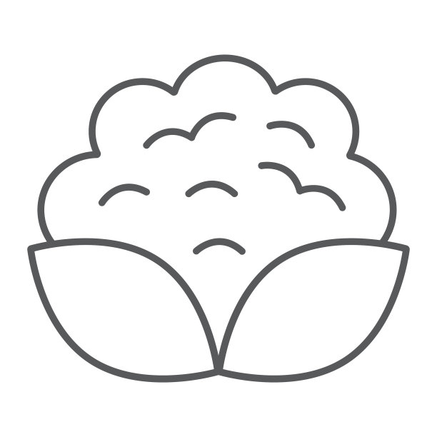 菜花细线图标：蔬菜与饮食图片下载