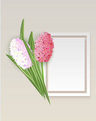 框架用鲜花图片下载