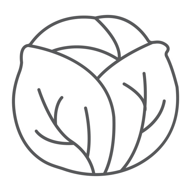 卷心菜细线图标蔬菜和饮食图片下载