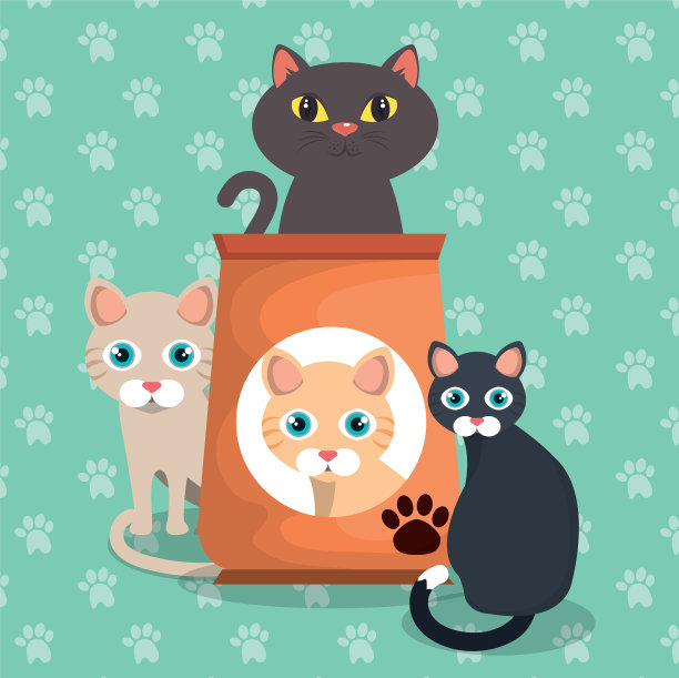 可爱的猫咪和食物图片下载