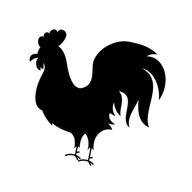 黑色公鸡轮廓图片下载