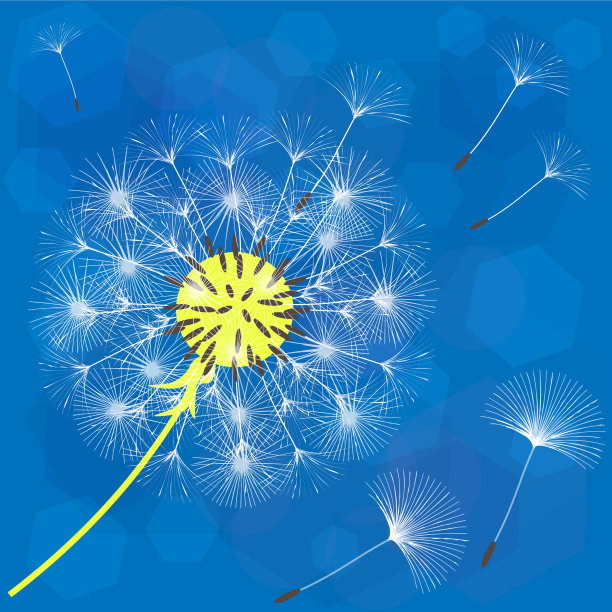 抽象的蒲公英背景设计图片下载