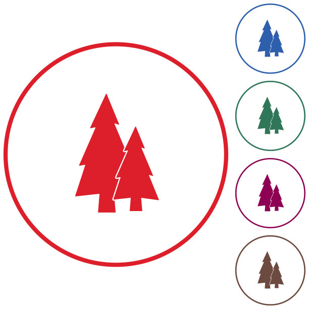 冷杉树的森林图片下载