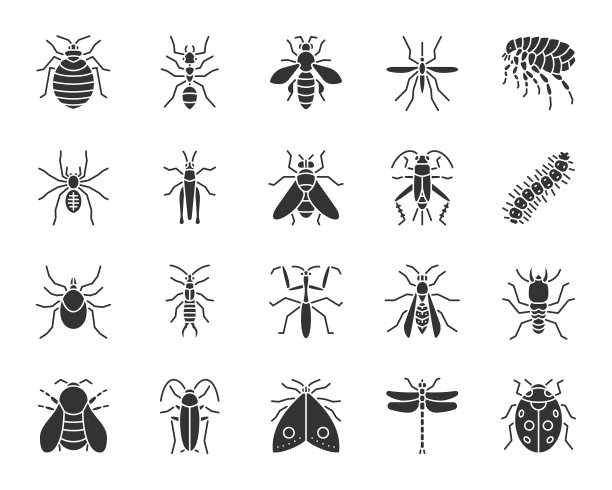 危险昆虫黑色剪影图标合集图片下载