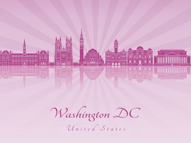 华盛顿特区V2的天际线在紫色光芒兰花图片下载