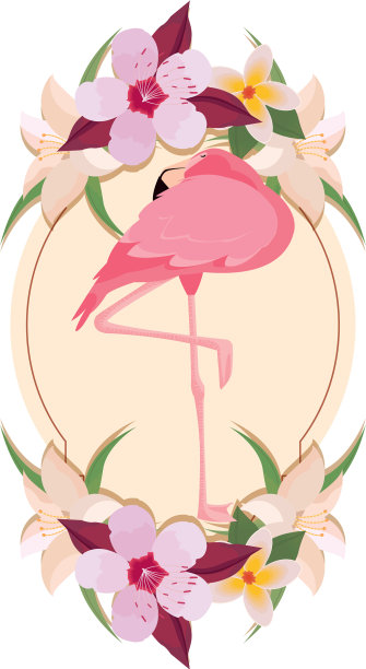 精致的火烈鸟花圈花图片下载