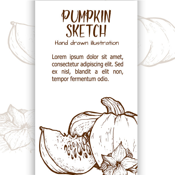 南瓜图组图片下载