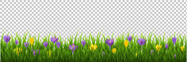 花框架与草透明的背景图片下载