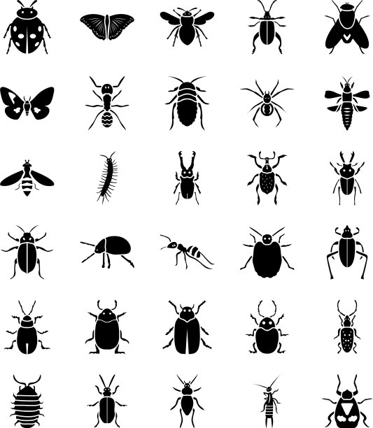 昆虫字形图标包图片下载