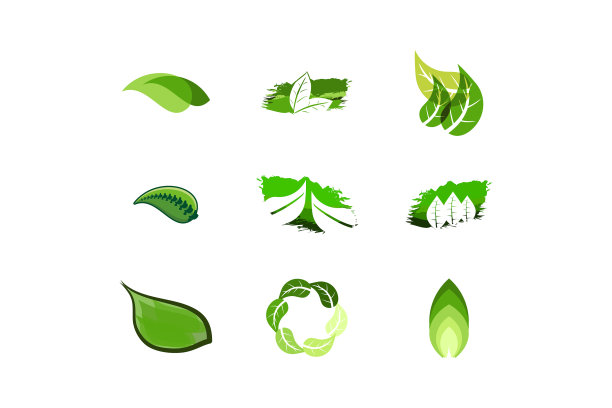 集绿叶标志设计灵感孤立图片下载