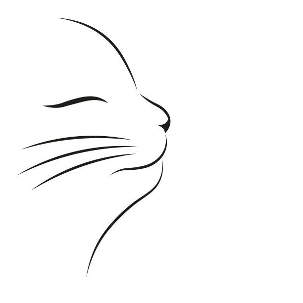 快乐可爱的猫图片下载