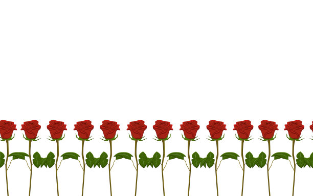 无缝边框红玫瑰图片下载