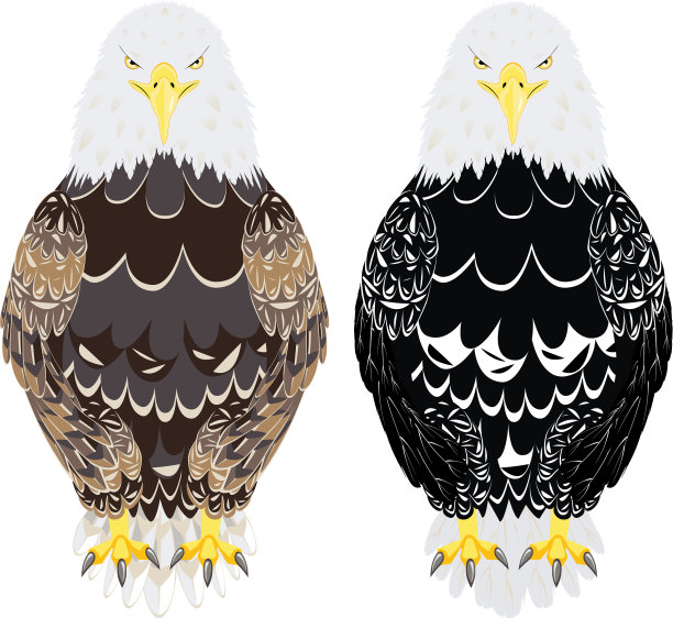 程式化的秃鹰图片下载