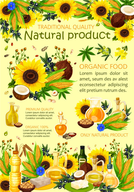 葵花籽、橄榄和坚果油图片下载