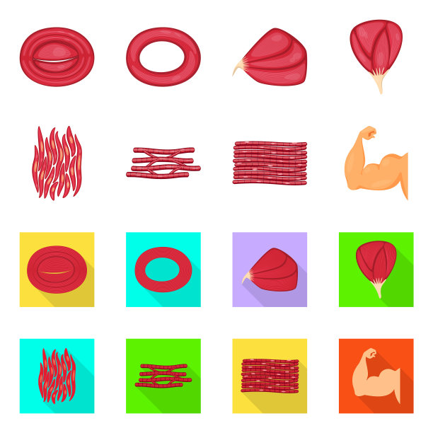 纤维和肌肉符号图片下载