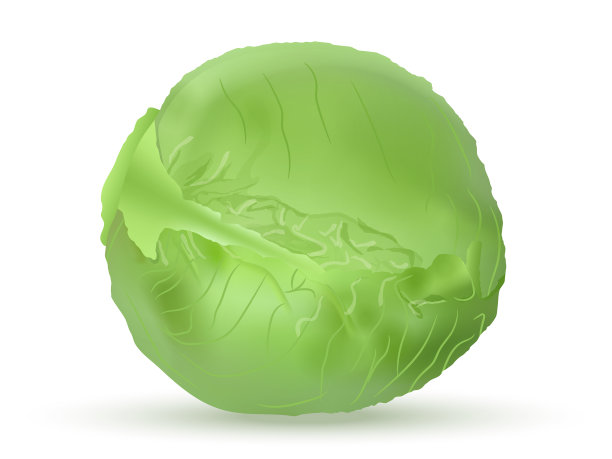 甘蓝头绿色写实风格图片下载