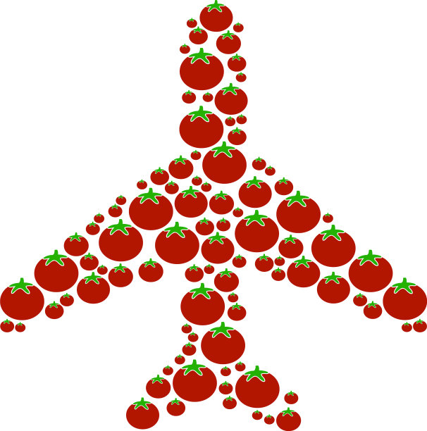 飞机拼贴的番茄图片下载