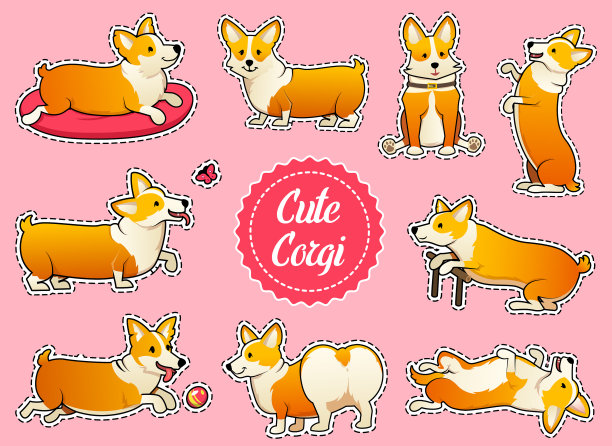 一组可爱的狗饲养威尔士柯基彭布罗克图片下载