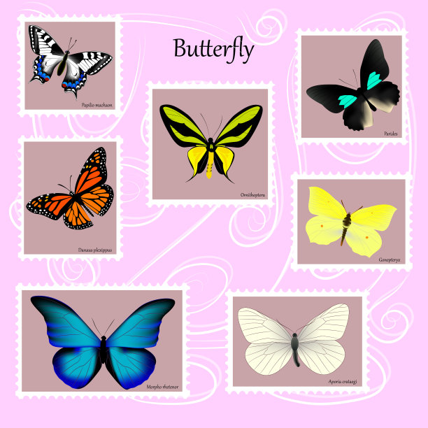 一套以粉红色为背景的邮票七枚图片下载