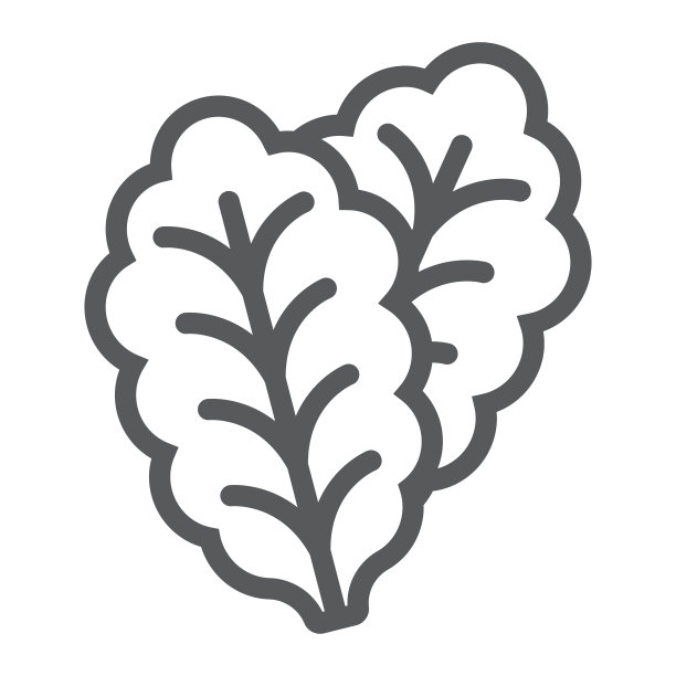 生菜线性图标，蔬菜和饮食图片下载
