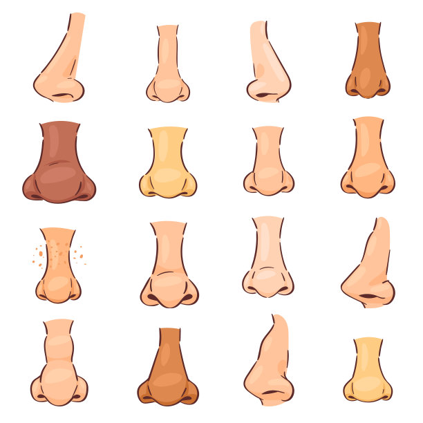 鼻子人的脸部分爱管闲事的呼吸气味图片下载