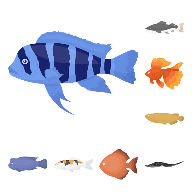 不同类型的鱼卡通图标设置图片下载