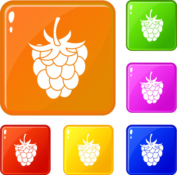 覆盆子或黑莓图标设置颜色图片下载