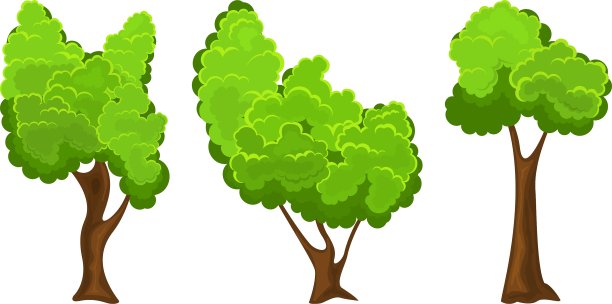 夏天树组图片下载