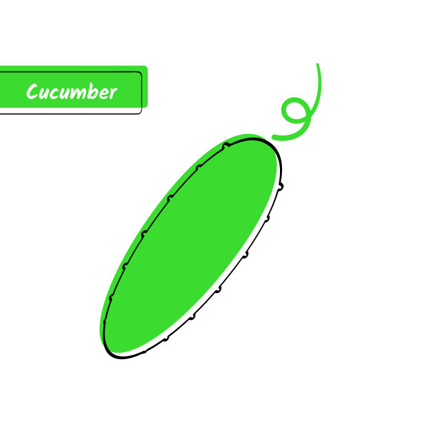 扁平黄瓜教育卡具有黑色轮廓图片下载