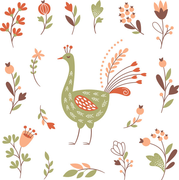 装饰花卉元素鸟设置在白色图片下载