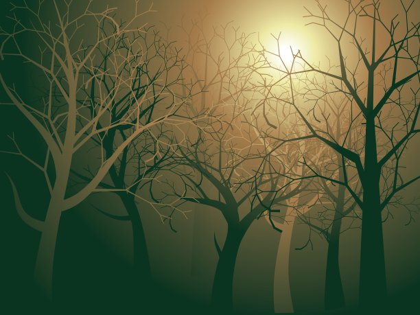 摘要森林Landscape4图片下载