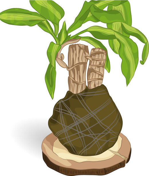 龙涎香在木头上芬芳图片下载