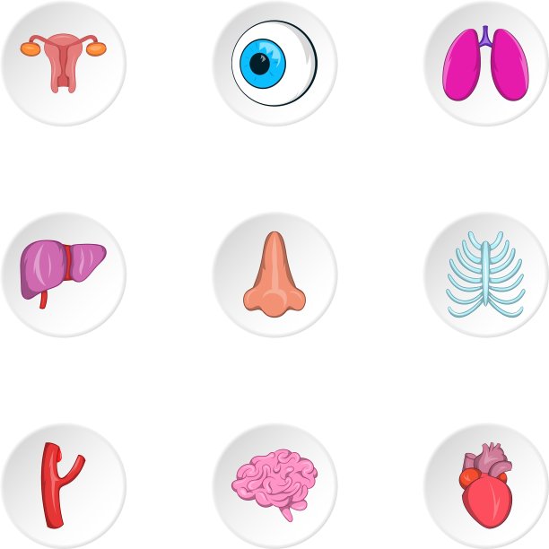 身体图标设置卡通风格图片下载