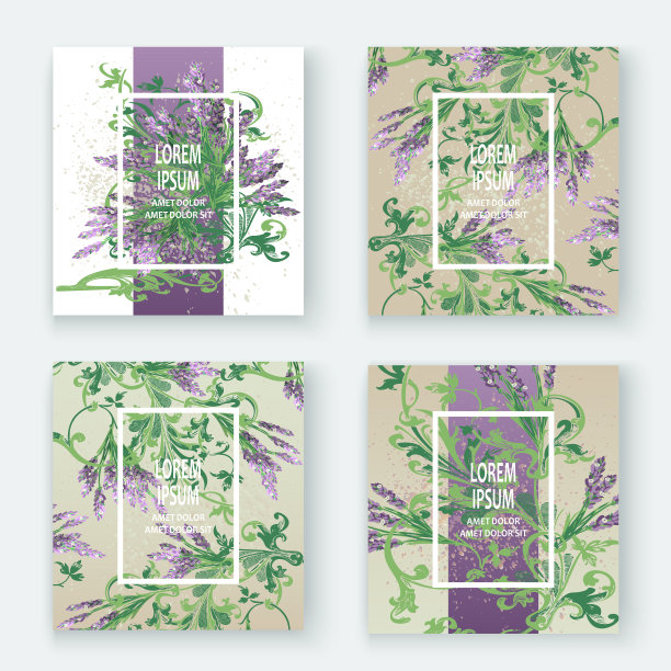 薰衣草花卉图案封面设计手绘图片下载