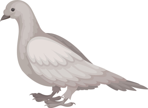 灰色鸽子侧视图投标的平面图标图片下载