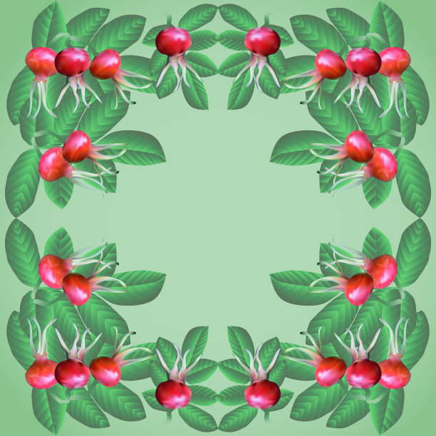 背景dogrose图片下载