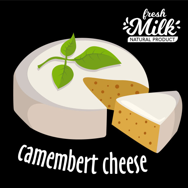 卡门贝尔奶酪新鲜的卡门贝尔奶酪和图片下载