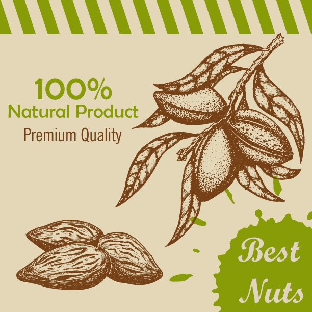 模板与手绘分支的图片下载