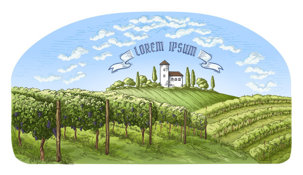 色彩斑斓的葡萄种植园，山，树，云图片下载