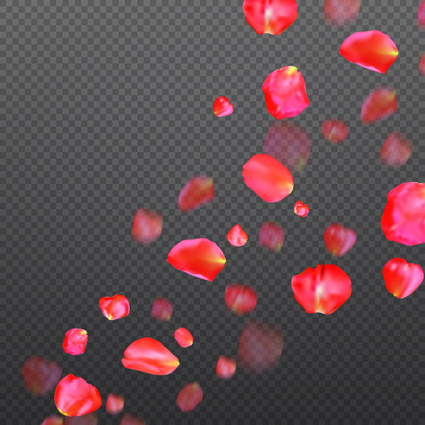 许多飘落的红玫瑰花瓣就透明了图片下载