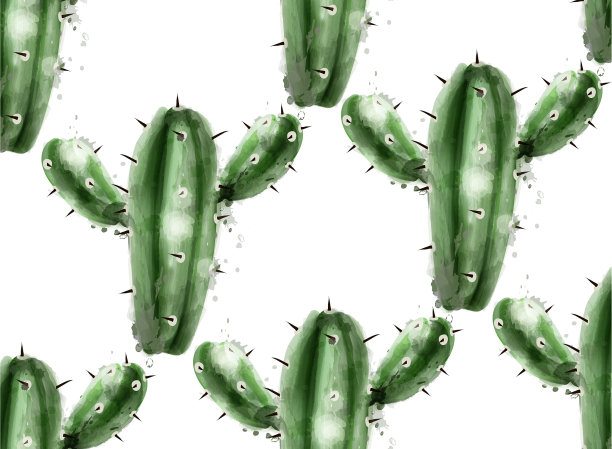 仙人掌图案背景植物园图片下载