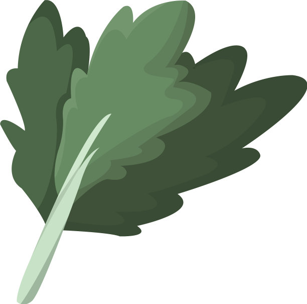 甜菜蔬菜营养维生素食品保健图片下载