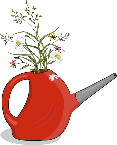 红色喷壶里的草甸草本花束图片下载