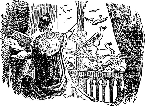 野天鹅采酒图片下载