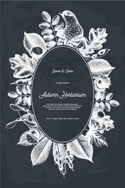 秋季设计卡在黑板上图片下载