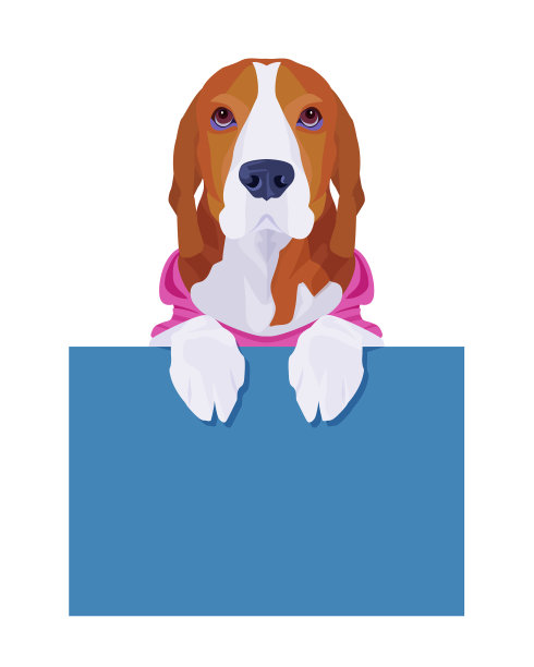 可爱的小猎犬穿着粉红色的衬衫拿着空图片下载